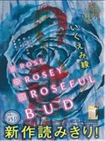 Rose Rosey Roseful BUD