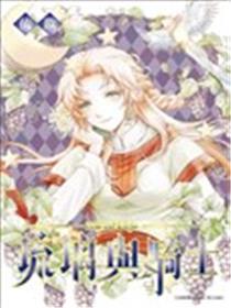 琉璃与骑士