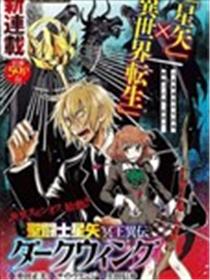 圣斗士星矢冥王异传漆黑之翼