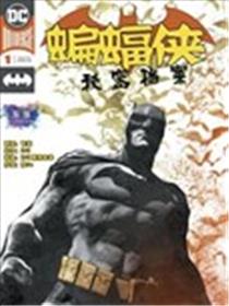 蝙蝠侠：秘密档案